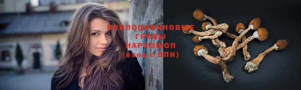 apvp Елабуга