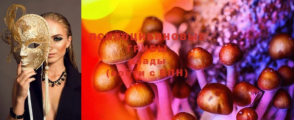 2c-b Дмитровск