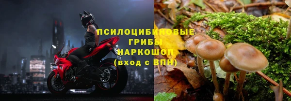 2c-b Дмитровск
