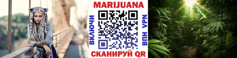Конопля SATIVA & INDICA  Купить где  Пугачёв 